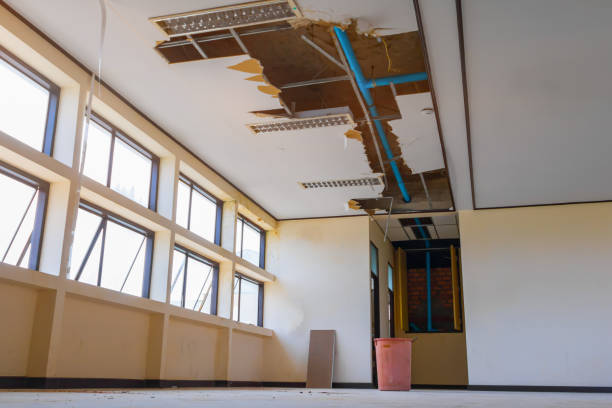 Best Flood damage cleanup  in Half Moon Bay, CA