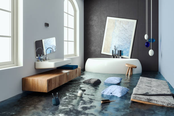 Best Mold removal after water damage  in Half Moon Bay, CA