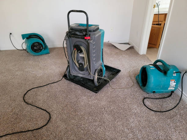 Best Flooded house restoration  in Half Moon Bay, CA