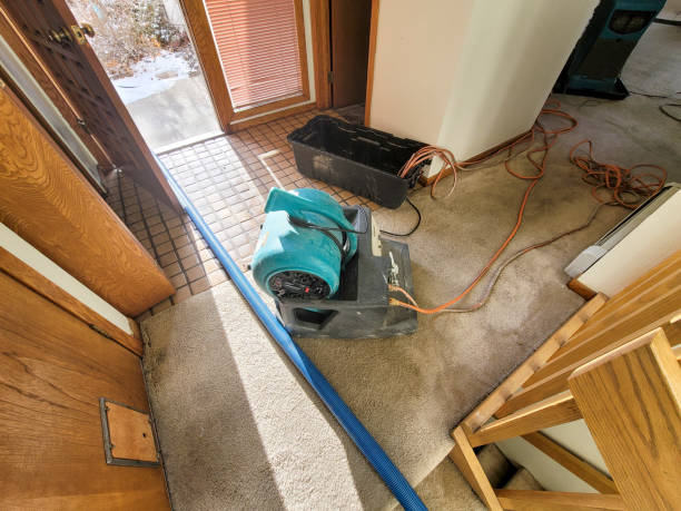 Best Residential water damage restoration  in Half Moon Bay, CA