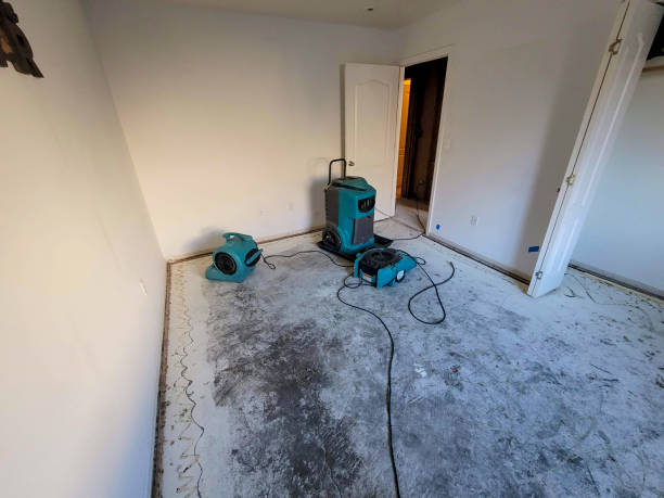 Best Carpet water damage restoration  in Half Moon Bay, CA