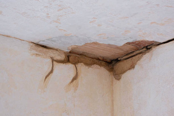 Best Water damage cleanup near me  in Half Moon Bay, CA