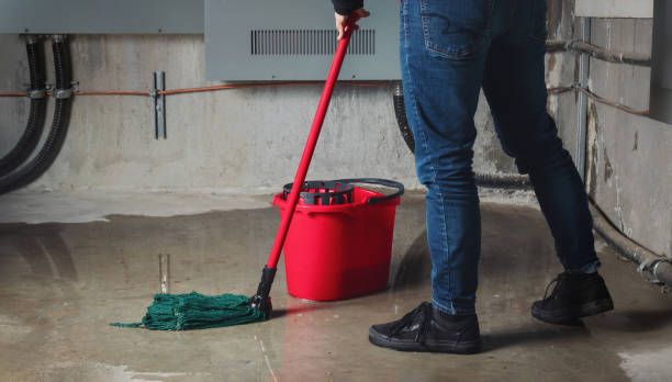  Half Moon Bay, CA Water damage restoration Pros