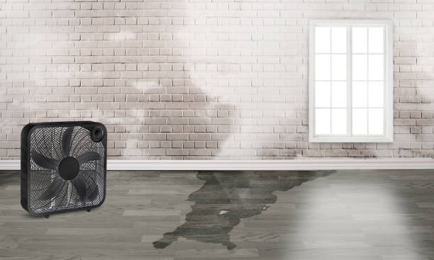 Water damage restoration experts in Half Moon Bay, CA