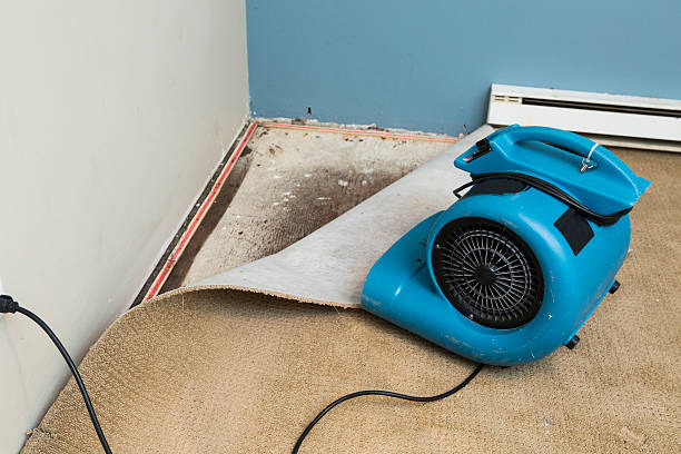 Best Flood restoration services  in Half Moon Bay, CA